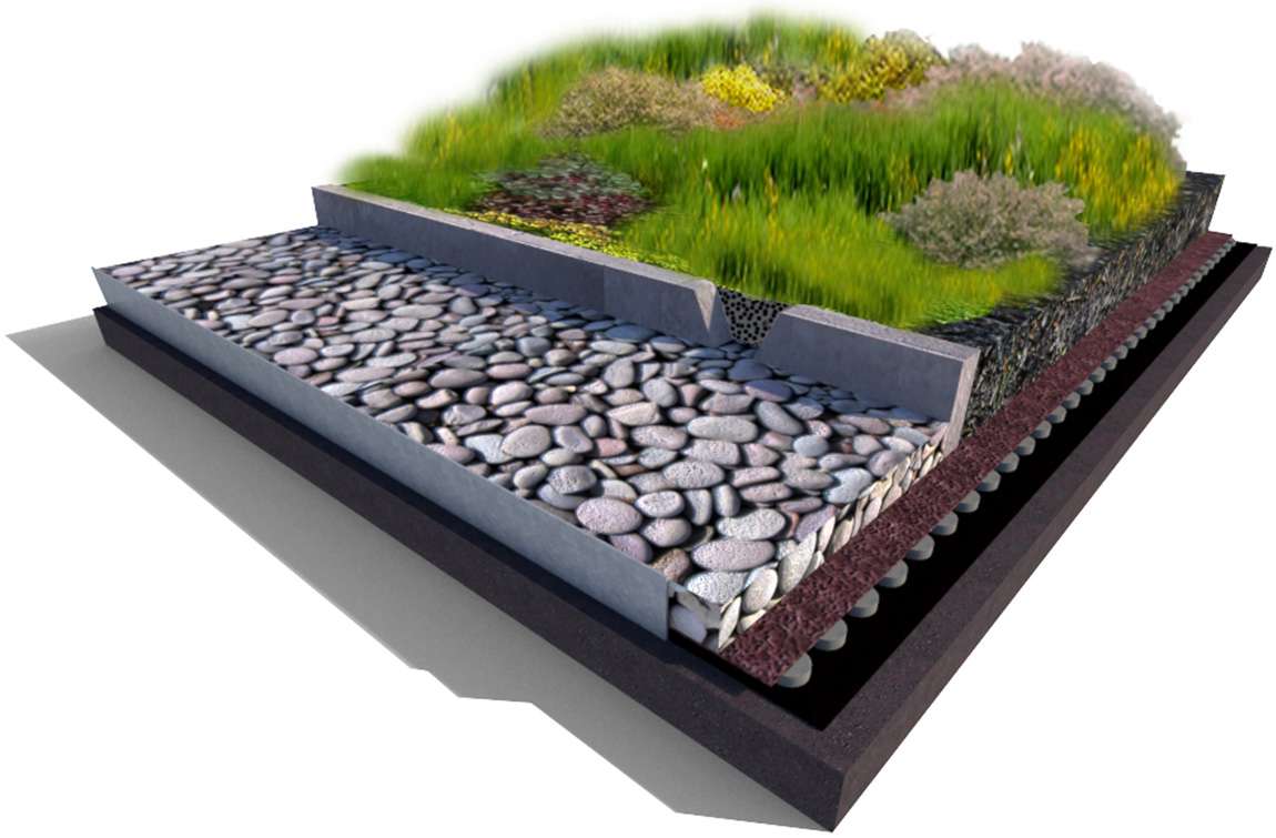 green-roof-detail1
